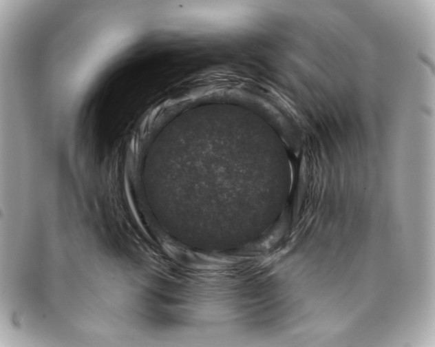 X0000096210762200802011321