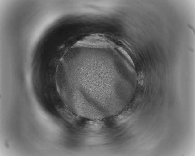 X0000096210763200802011321