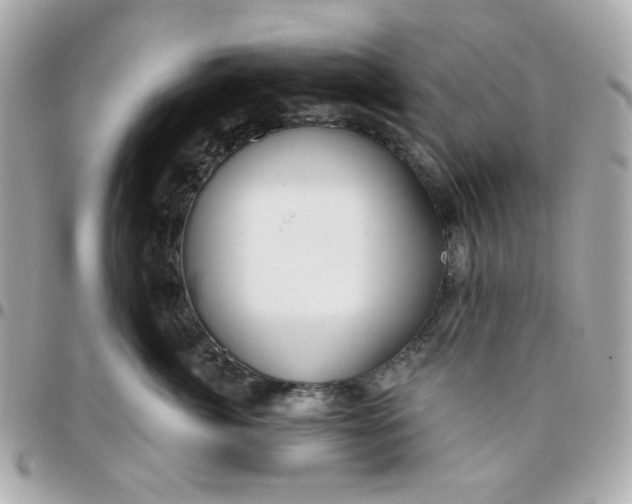 X0000096210764200802011321