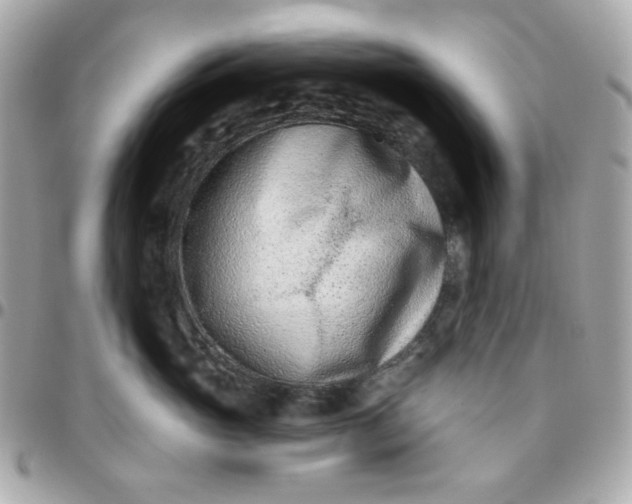 X0000096210765200802011321