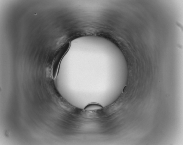 X0000096210768200802011321