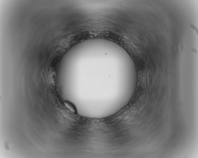 X0000096210770200802011320