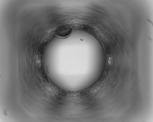 X0000096210771200802011320