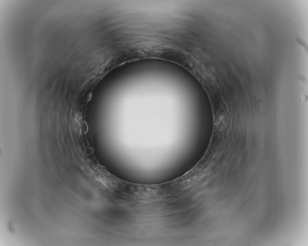 X0000096210772200802011320