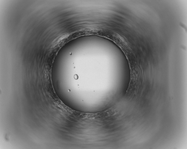 X0000096210773200802011320