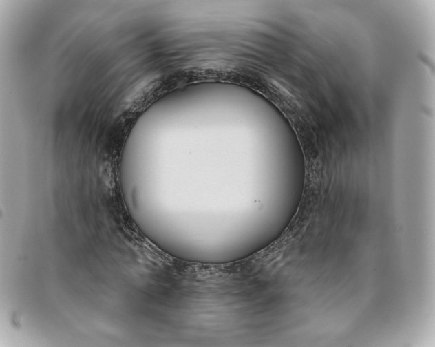 X0000096210774200802011320