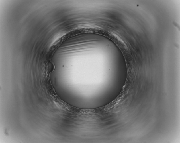 X0000096210775200802011320