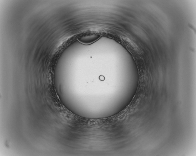 X0000096210776200802011320