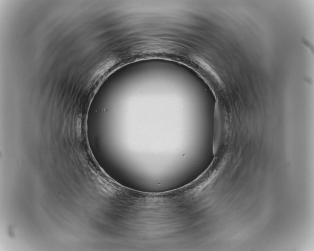 X0000096210777200802011320