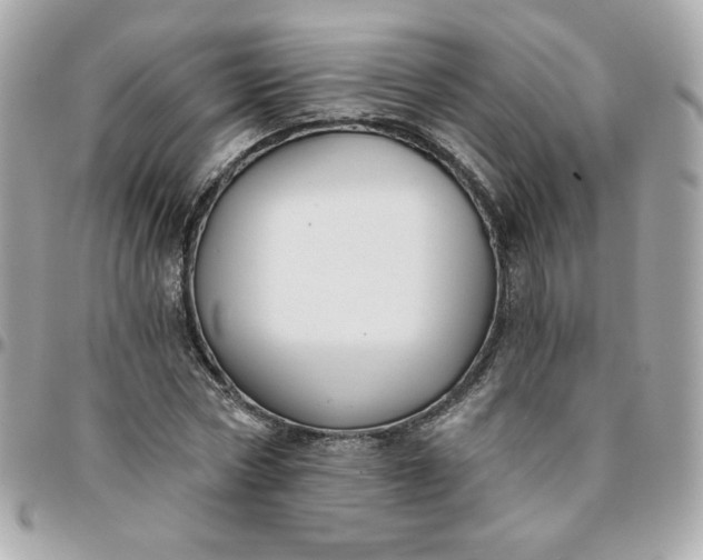 X0000096210778200802011320