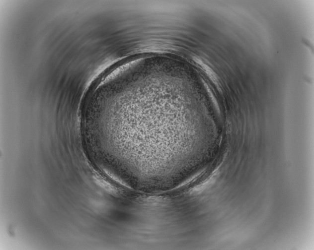 X0000096210779200802011320