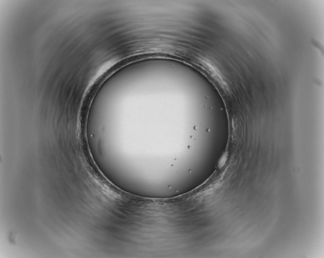 X0000096210780200802011320