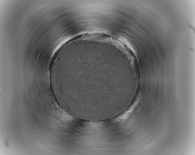 X0000096210781200802011320