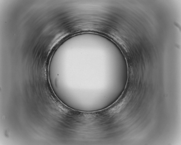 X0000096210782200802011320