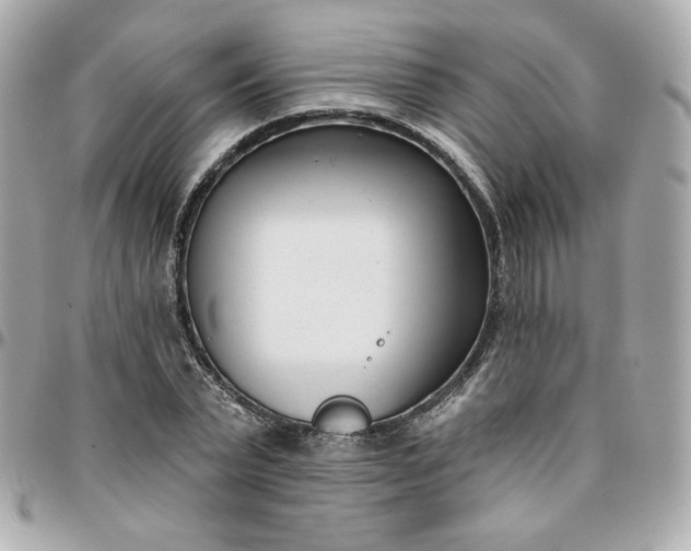 X0000096210783200802011320