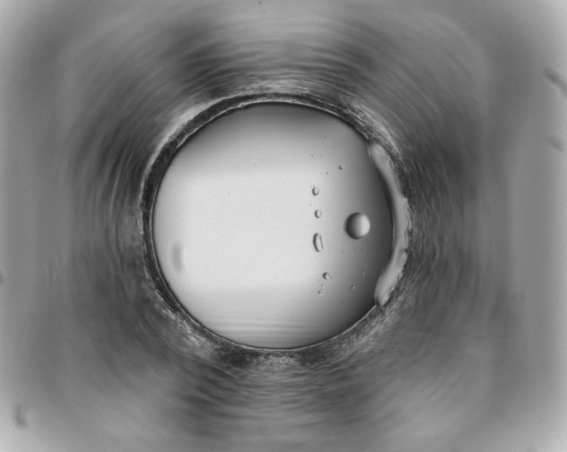 X0000096210784200802011320