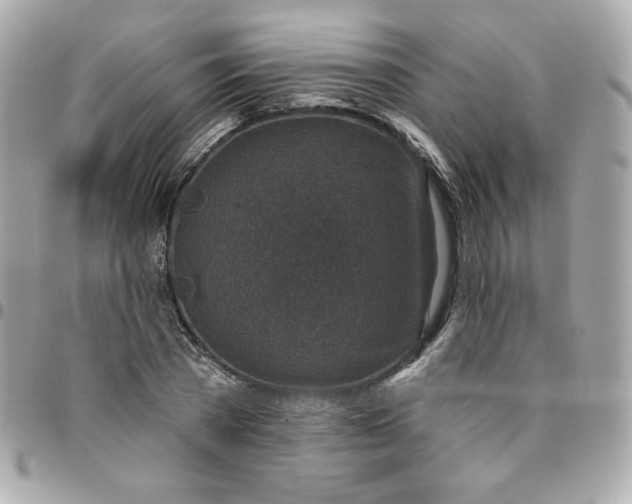 X0000096210785200802011320