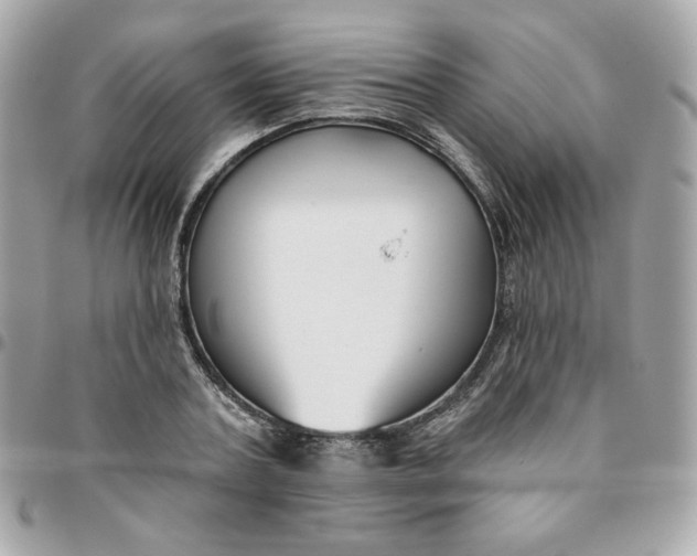 X0000096210787200802011320