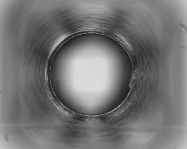 X0000096210788200802011320