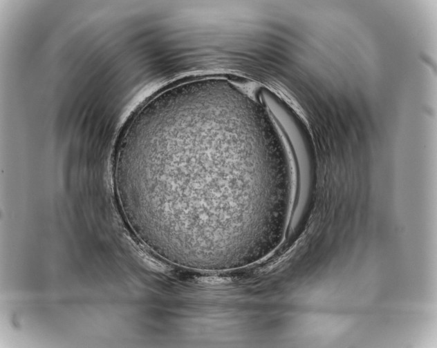 X0000096210789200802011320