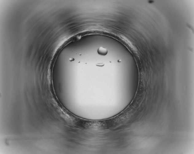 X0000096210791200802011320