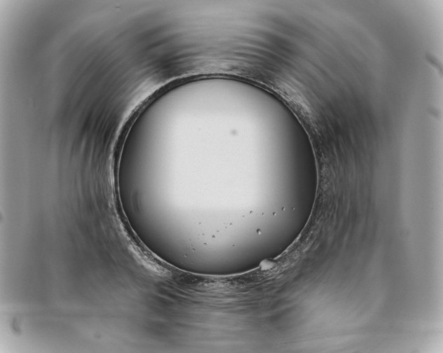 X0000096210792200802011320