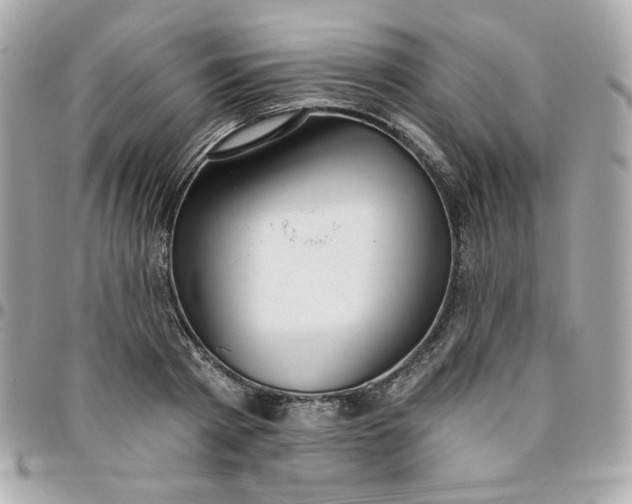 X0000096210793200802011320