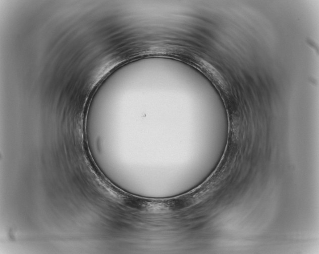 X0000096210794200802011320