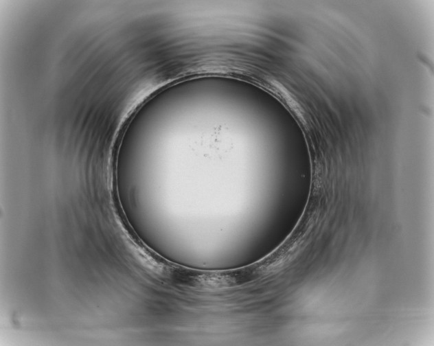 X0000096210795200802011320