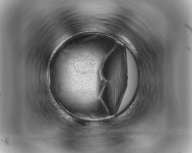 X0000096210796200802011320