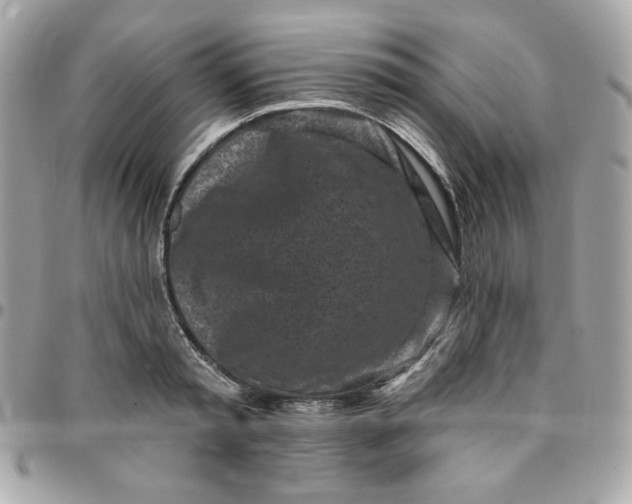 X0000096210797200802011320