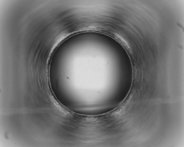 X0000096210800200802011320