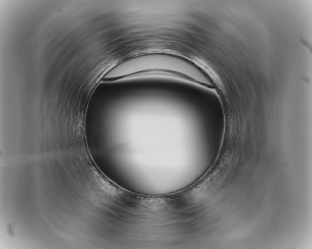 X0000096210801200802011320