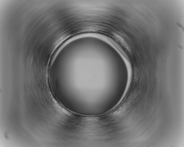 X0000096210802200802011320