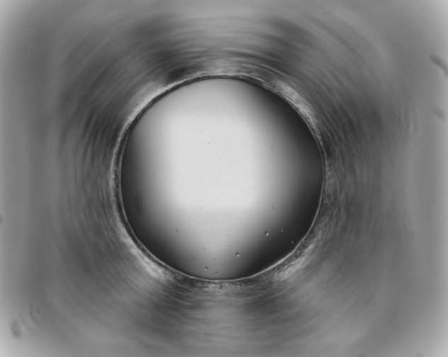 X0000096210803200802011320