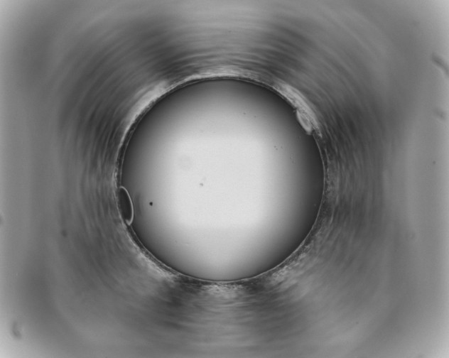 X0000096210805200802011320