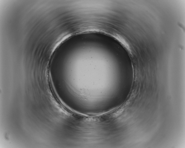 X0000096210806200802011320