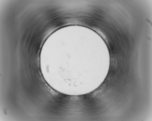 X0000096210807200802011320