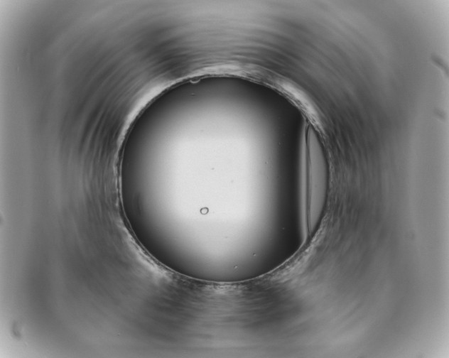 X0000096210808200802011320