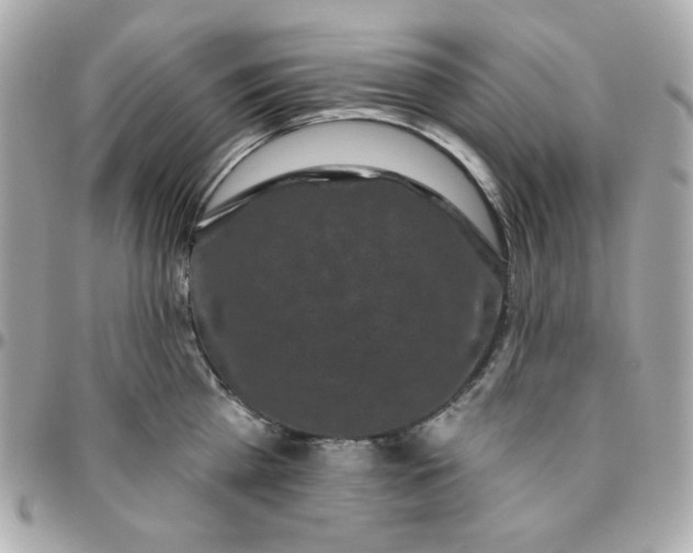 X0000096210809200802011320