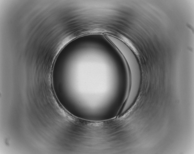 X0000096210810200802011320