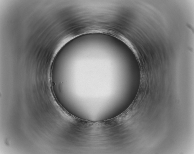 X0000096210811200802011320