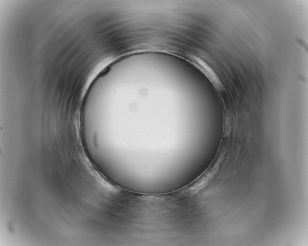 X0000096210812200802011320