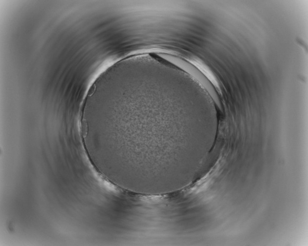 X0000096210813200802011320