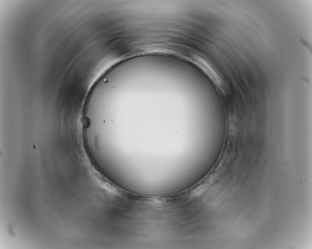 X0000096210814200802011320