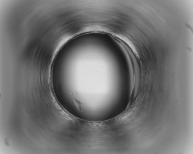 X0000096210815200802011320