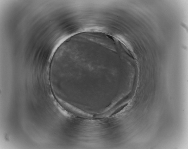 X0000096210816200802011320