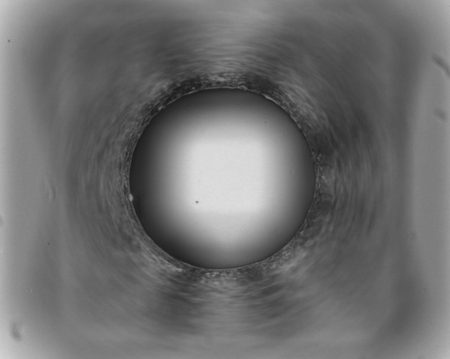 X0000096210817200802011319