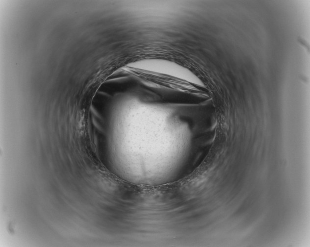 X0000096210818200802011319