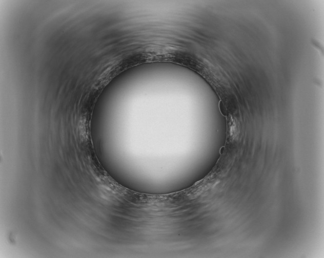 X0000096210819200802011319